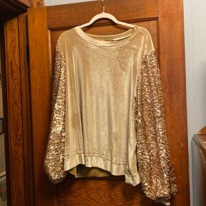 Lane Bryant 22/24 velvet and sparkles tan